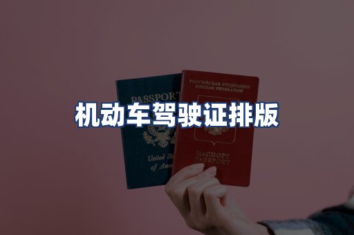 机动车驾驶证排版